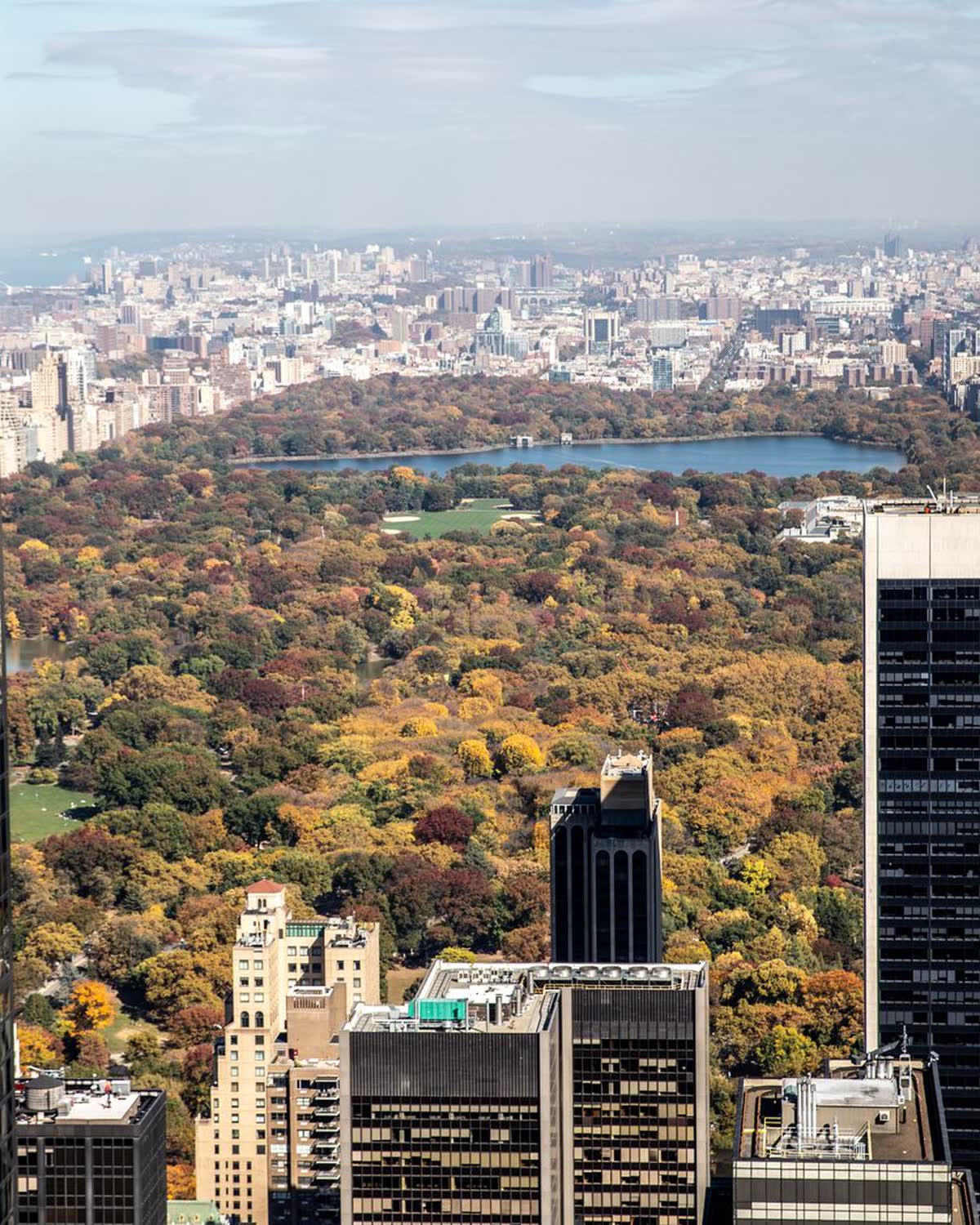 Apartamento com vista para o parque, em Nova York